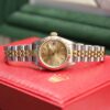 rolex 69173